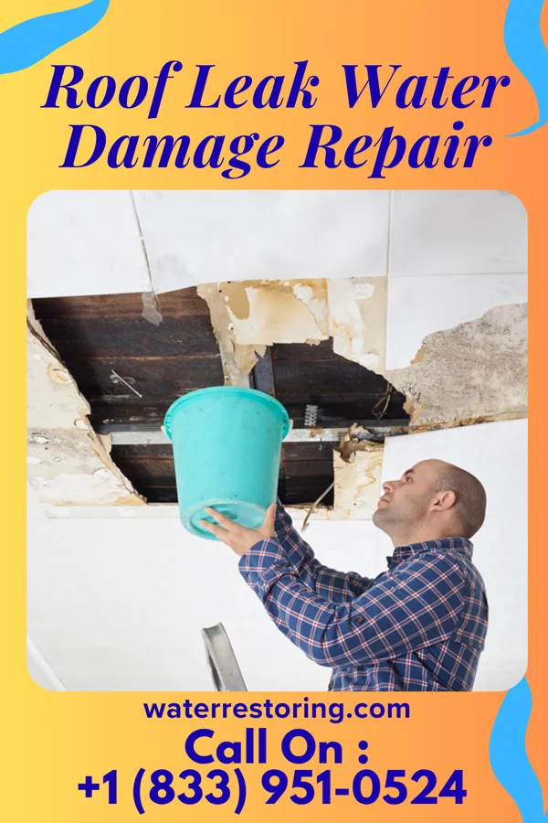 Roof Leak Water Damage Repair in Clyde, CA