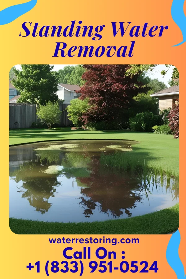 Standing Water Removal in Clyde, CA